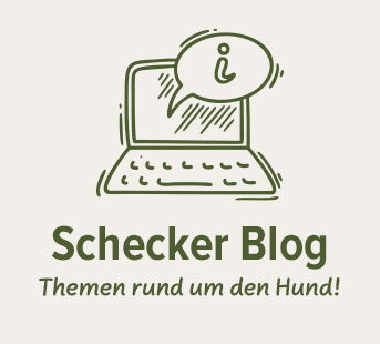 Schecker's Blog