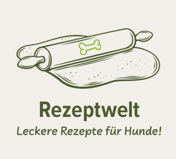 Schecker's Rezeptwelt