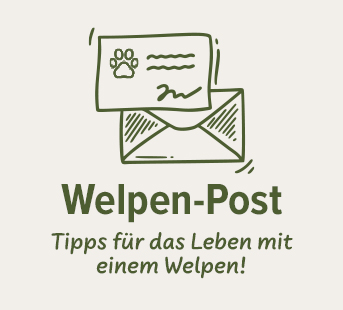 Schecker's Welpenpost