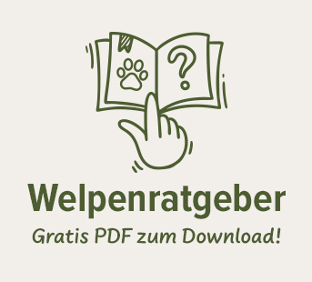 Schecker's Welpenratgeber