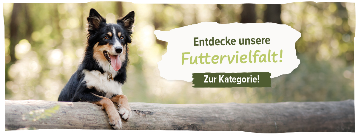 Schecker's Hundefutter