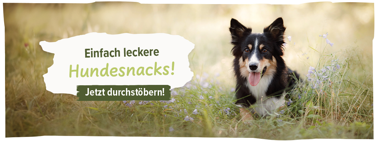 Schecker's Hundesnacks