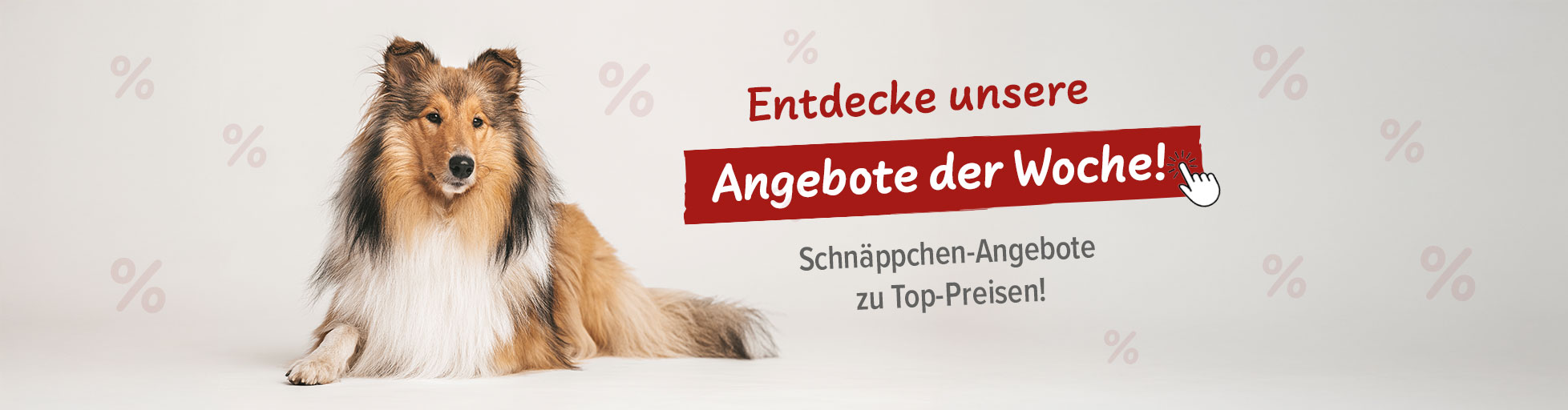 % Angebote der Woche %