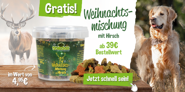 Weihnachtsmix mit Hirsch