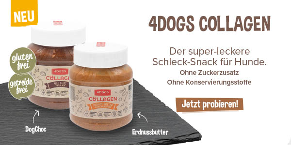 NEU! 4DOGS Collagen Creme