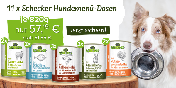 11er Schecker Hundemen