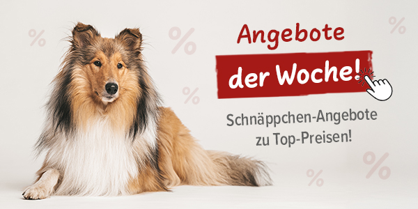 % Angebote der Woche %