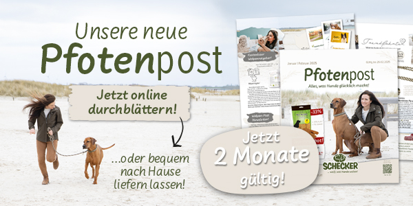 NEU! Unsere Pfotenpost