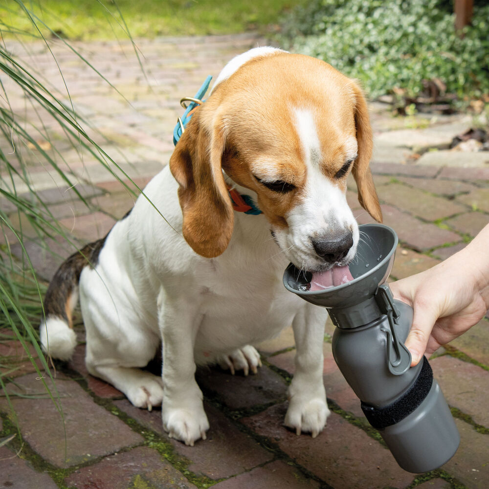 Hunde-Trinkflasche NIA Bild 4