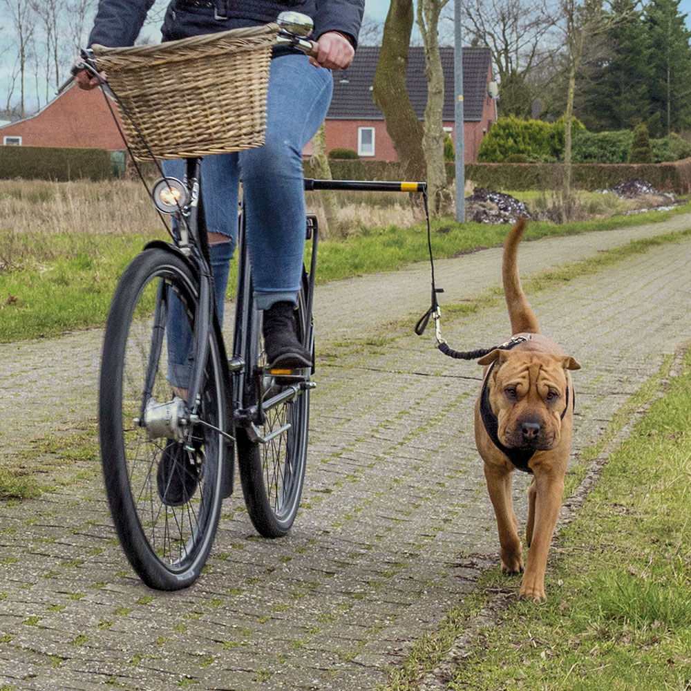 Hunde Doggy Biker kaufen bei Schecker.de