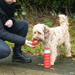 Faltbare Trinkflasche KAE