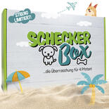 Sommerbox