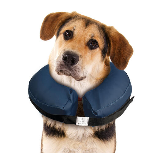 HundeSchutzkragen aufblasbar Halskrause für den Hund Schutz Trichter